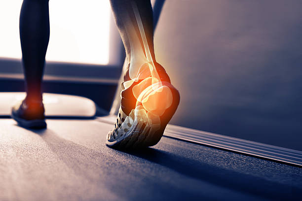 Rear view of a runner's foot with highlighted joints, emphasizing the role of sports physio in injury prevention and recovery.